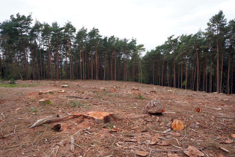 Location of the Animal